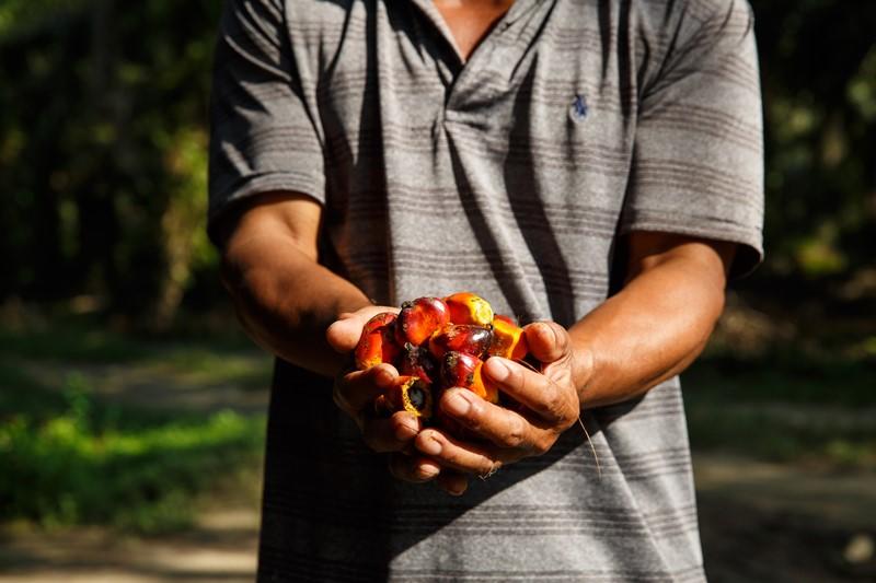 Let’s Push For Sustainable Palm Oil, Here’s Why It Matters